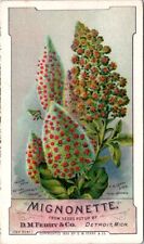 D M Ferry Co Detroit MI Mignonette Red Yellow Flowers On Spikes HQV1 picture