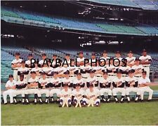 1965 Minnesota Twins Team Colorized 8x10 Print-FREE SHIPPING picture