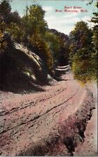 Munising MI-Michigan, Road Scene Vintage Souvenir Postcard picture