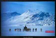 Inuit Hunter with Huskies Inspirational Team Work Poster 24 x 35 picture