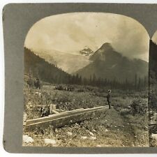 Mount Sir Donald Canada Stereoview c1895 Glacier National Park Rogers Pass B1976 picture
