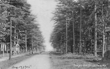 1905 Ocean Park Maine ME Temple Avenue Dirt Road View Undivided Back Postcard picture