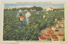 Advertising Libby's Tomato Juice Inspecting Food Postcard picture