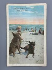 1930 GRAND HAVEN BEACH Michigan GERMAN SHEPHERDS Dogs Postcard Antique picture
