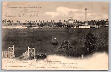 1903 Guanabacoa Cuba. Sugar Plantation. Vintage Postcard picture