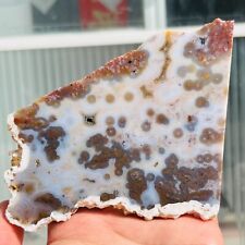 151g Rare Natural The 8th Vein Ocean Jasper Slab Quartz Crystal Reiki Healing picture