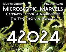Microscopic Marvels April 24-April 2025 420  Cannabis THC Trichome Calendar BOGO picture