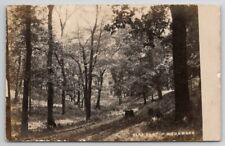 Michigan RPPC Park East of Woodward c1908 Real Photo Postcard B31 picture