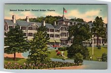 Natural Bridge VA, Historic Hotel, Flower Gardens, Virginia Vintage Postcard picture