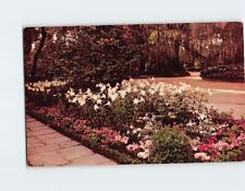 Postcard Azaleas Easter Lilies & Camellias Bellingrath Gardens Alabama USA picture