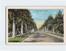 Postcard Royal Palms, Florida picture