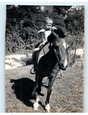 Vintage Photo 1940s, Toddler Riding a Pany, 3.5 x 2.5 picture