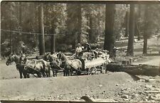 Postcard RPPC C-1910 California Brownsville Horse Wagon Yuba County 23-13497 picture