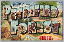 Postcard Greetings From Petrified Forest, Arizona, Large Letter picture