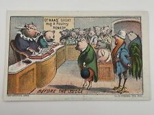 Dr Hass Hog & Poultry Remedy 1884 Trade Card Before The Judge picture