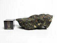 NWA x CV3 16.42g Desert Varnished Carbonaceous Chondrite Meteorite picture
