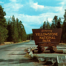Vintage Postcard Entrance to Yellowstone National Park Landscape-Cal-134 picture