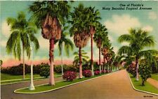 Vintage Postcard- 259. TROPICAL AVE FL. UnPost 1930 picture