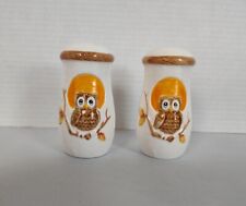 Sears Ceramic Owl Salt and Pepper Shakers Vintage 80's Retro picture
