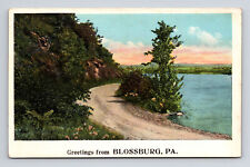 WB Postcard Blossburg PA Pennsylvania Lake View Greetings picture