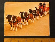 1957 CLYDESDALE BREEDING FARM BUDWISER POSTCARD GRANT’S FARM ANHEUSER-BUSCH picture