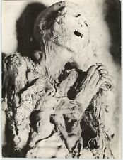 Preserved CORPSE Skeleton FERENTILLO ITALY MUMMY Crypt SPOOKY 1950s Press Photo picture