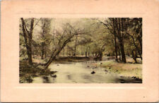 Lovely River Flowing Through the Woods Denver Colorado Postcard 1909 picture