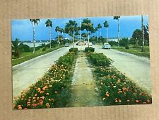 Postcard Clearwater Beach FL Florida Causeway Flowers Palms Old Cars Vintage PC picture