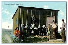 c1910's Chicken Time On The Claim Cabin House Frontier Unposted Antique Postcard picture