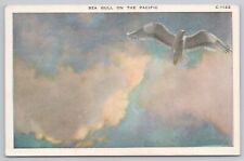 Postcard Sea Gull on the Pacific, California PM 1926 picture