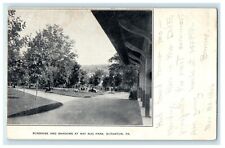 1906 Sunshine and Shadows at Nay Aug Park, Scranton, Pennsylvania PA Postcard picture