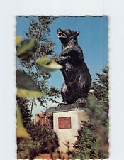 Postcard The Black Bear University of Maine Orono Maine USA picture