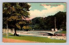 Cleveland OH-Ohio, View In Brookside Park, Antique, Vintage c1916 Postcard picture
