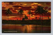 Evening Shadows In Florida, Sunset, Palm Trees, Antique, Vintage Postcard picture
