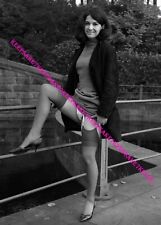 CLASSIC LEGGY PINUP GIRL NYLON STOCKINGS UPSKIRT 5 x 7 PHOTO BP-27 picture