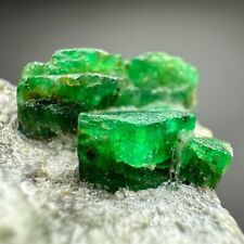 39 CT. Astonishing Translucent Emerald crystals cluster on matrix. picture