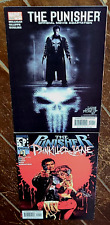 The Punisher Official Movie Adaptation #1/Punisher & Painkiller Jane #1 (Marvel) picture