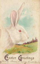Postcard Easter Greetings Holiday DB 1921 Rabbit picture