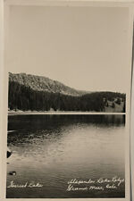 Grand Mesa CO Colorado, Alexander Lake Lodge Vintage Real Photo RPPC Postcard picture