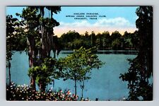 Crockett TX-Texas, Anglers Paradise, Spring Creek Country Club Vintage Postcard picture