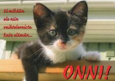 CAT KITTY Animals Vintage Postcard CPSM #PBQ760 picture