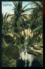 Early Cocoanut Trees and Lagoon Hawaii Historic Vintage Postcard Island Curio picture