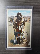 Buffalo Medicine Man Arrayed For His Incarnations And Ceremonies Postcard  picture