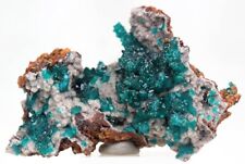 DIOPTASE WULFENITE Specimen Crystal Cluster Mineral Emerald Green CONGO picture