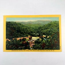Postcard West Virginia Babcock State Park WV Aerial View 1940s Unposted Linen picture