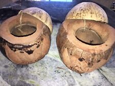 Pair of Hawaiian Coconut Head Tiki Mugs Drinking Cup /Bowl, Bar Keepsake NWT picture