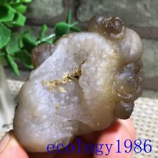 75g Bonsai Suiseki-Natural Gobi Agate Eyes Stone-Rare Stunning Viewing b3366 picture