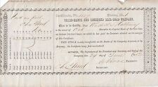 TERRE HAUTE AND RICHMOND RAILROAD COMPANY 1850'S ASST SHARES STOCK CERTIFICATE picture