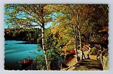 MI-Michigan, Lower Tahquamemon Falls, Boat Landing, Antique, Vintage Postcard picture