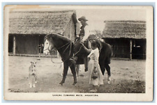 c1910's Gaucho Tomando Mate Argentina, Cowboy Dog Antique RPPC Photo Postcard picture